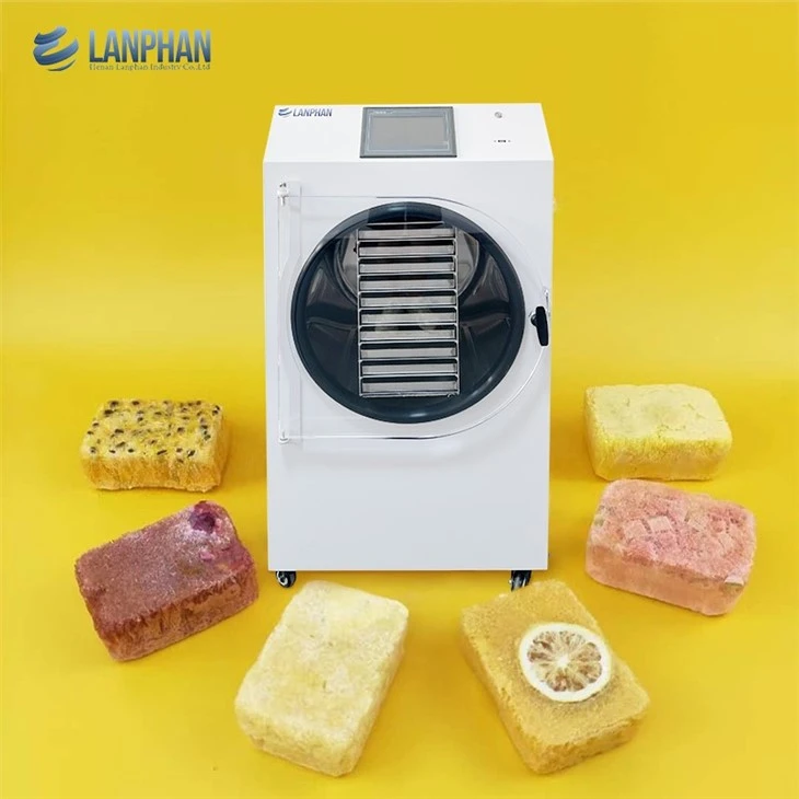 info-1-1 Vegetables Freeze Dry Machine